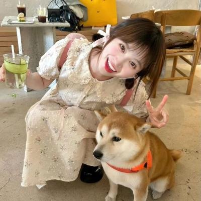 陆阿采与黄飞鸿